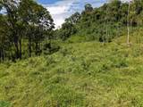  Guayabo - Photo 12