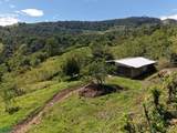  Guayabo - Photo 13