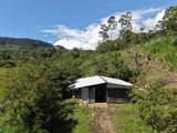  Guayabo - Photo 14