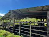  Guayabo - Photo 16