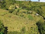  Guayabo - Photo 2