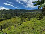  Guayabo - Photo 5