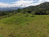  Guayabo - Photo 6