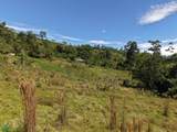  Guayabo - Photo 7