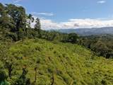  Guayabo - Photo 8
