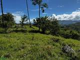  Guayabo - Photo 9