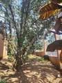 118 Villa Adobe - Photo 7