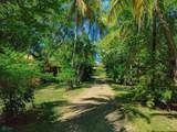 Beachfront Playas de Address Not Published - Photo 7