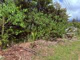  Calle Tucan - Photo 2