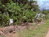  Calle Tucan - Photo 4