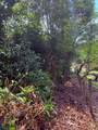  Calle Tucan - Photo 8
