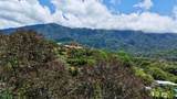  Ojochal - Photo 5
