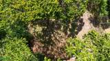  Las Brisas - Photo 16