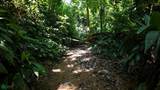  Las Brisas - Photo 25