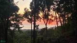 Las Brisas - Photo 7