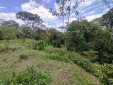  Alto Varas - Photo 11