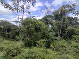  Alto Varas - Photo 12