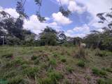  Alto Varas - Photo 16