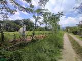  Alto Varas - Photo 4