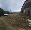  Cedral - Photo 11