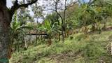  Hacienda Salitral - Photo 5