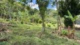  Hacienda Salitral - Photo 6