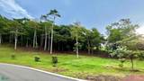 7 Prime 0.28-Acre Corner Lot in Alma Verde Gated Com - Photo 1