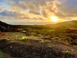 Best Ocean View Lot On The Market in Playa Grande - Photo 5