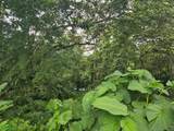  Fortuna - Photo 8