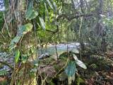  Fortuna - Photo 9