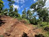  Finca Naranjalito Hills - Photo 11