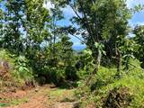  Finca Naranjalito Hills - Photo 14
