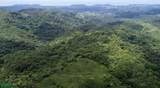  Finca Naranjalito Hills - Photo 15