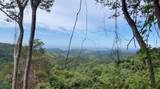  Finca Naranjalito Hills - Photo 16