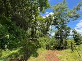  Finca Naranjalito Hills - Photo 18