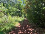  Finca Naranjalito Hills - Photo 19