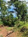  Finca Naranjalito Hills - Photo 20