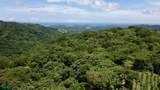 Finca Naranjalito Hills - Photo 22