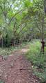  Finca Naranjalito Hills - Photo 3