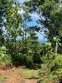  Finca Naranjalito Hills - Photo 5