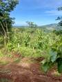  Finca Naranjalito Hills - Photo 9