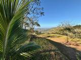 Nada Finca Naranjalito - Photo 12