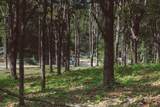  Guanavista Lot #A2a - Photo 6