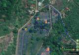 Altos Los Robles Guanacaste Lifestyle - Photo 5