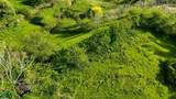  Jabillos - Photo 4