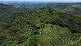 Finca Naranjalito Hills - Photo 11