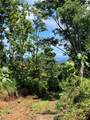  Finca Naranjalito Hills - Photo 13