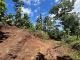  Finca Naranjalito Hills - Photo 14