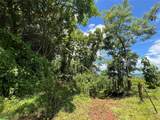  Finca Naranjalito Hills - Photo 15