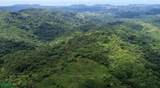  Finca Naranjalito Hills - Photo 18